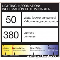 Malibu 50 Watte Floodlight Low Voltage Landscape Lighting 8301-9601-01   